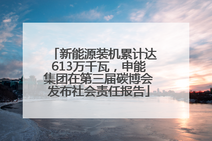 新能源装机累计达613万千瓦，申能集团在第三届碳博会发布社会责任报告