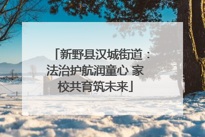 新野县汉城街道：法治护航润童心 家校共育筑未来