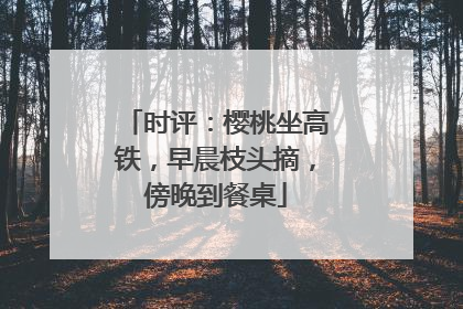 时评：樱桃坐高铁，早晨枝头摘，傍晚到餐桌