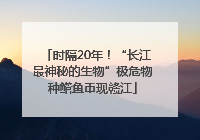 时隔20年！“长江最神秘的生物”极危物种鳤鱼重现赣江