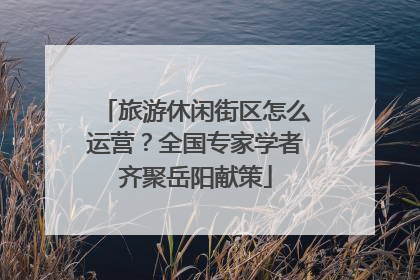 旅游休闲街区怎么运营？全国专家学者齐聚岳阳献策