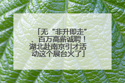 无“非升即走”、百万高薪诚聘！湖北赴南京引才活动这个展台火了