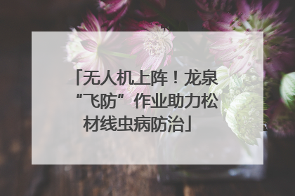 无人机上阵！龙泉“飞防”作业助力松材线虫病防治