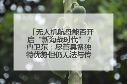 无人机航母能否开启“新海战时代”？曹卫东：尽管具备独特优势但仍无法与传统航母相提并论