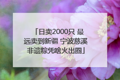 日卖2000只 最远卖到新疆 宁波慈溪非遗粽凭啥火出圈