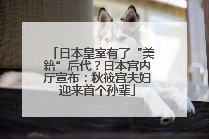 日本皇室有了“美籍”后代？日本宫内厅宣布：秋筱宫夫妇迎来首个孙辈