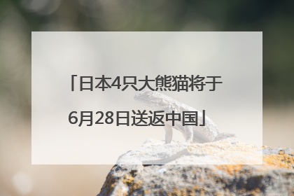 日本4只大熊猫将于6月28日送返中国