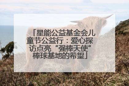 星能公益基金会儿童节公益行：爱心探访点亮“强棒天使”棒球基地的希望