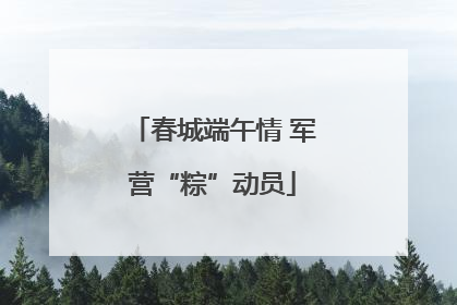 春城端午情 军营“粽”动员