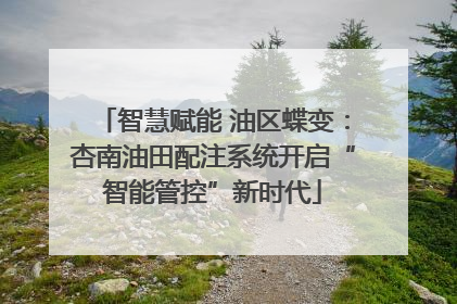 智慧赋能 油区蝶变：杏南油田配注系统开启“智能管控”新时代