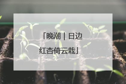 晚潮｜日边红杏倚云栽