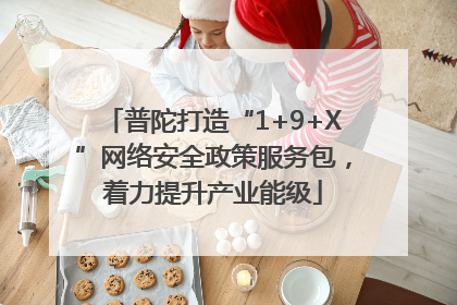 普陀打造“1+9+X”网络安全政策服务包，着力提升产业能级