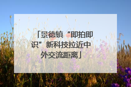 景德镇“即拍即识”新科技拉近中外交流距离