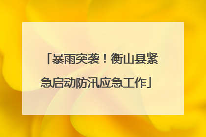 暴雨突袭！衡山县紧急启动防汛应急工作