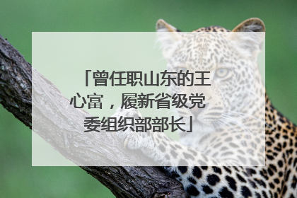 曾任职山东的王心富，履新省级党委组织部部长