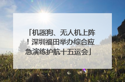 机器狗、无人机上阵！深圳福田举办综合应急演练护航十五运会