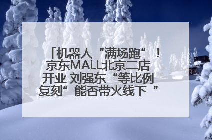 机器人“满场跑”！京东MALL北京二店开业 刘强东“等比例复刻”能否带火线下“618”？