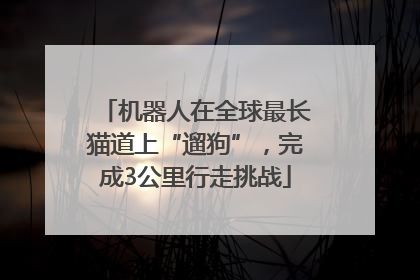 机器人在全球最长猫道上“遛狗”，完成3公里行走挑战