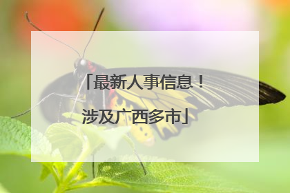 最新人事信息！涉及广西多市