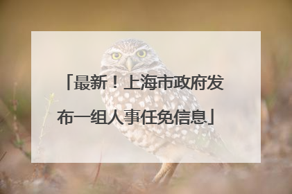 最新！上海市政府发布一组人事任免信息