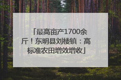 最高亩产1700余斤！东明县刘楼镇：高标准农田增效增收