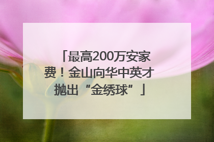 最高200万安家费！金山向华中英才抛出“金绣球”
