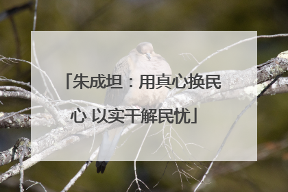 朱成坦：用真心换民心 以实干解民忧
