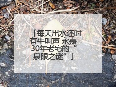 每天出水还时有牛叫声 永嘉30年老宅的“泉眼之谜”