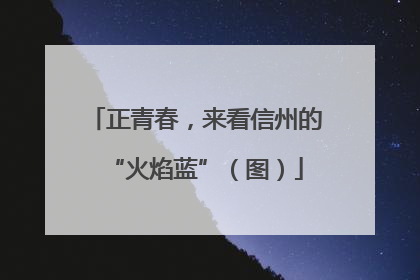 正青春，来看信州的“火焰蓝”（图）