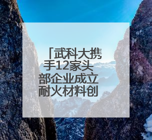 武科大携手12家头部企业成立耐火材料创新联盟