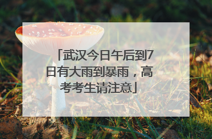 武汉今日午后到7日有大雨到暴雨，高考考生请注意