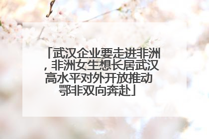 武汉企业要走进非洲，非洲女生想长居武汉 高水平对外开放推动鄂非双向奔赴