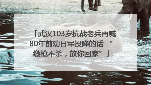 武汉103岁抗战老兵再喊80年前劝日军投降的话 “缴枪不杀，放你回家”
