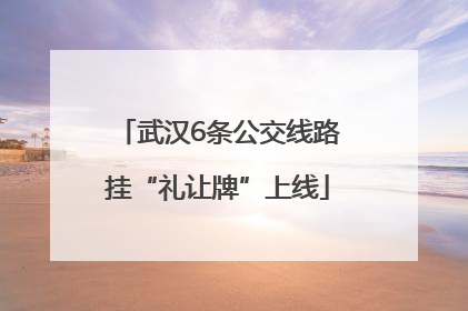 武汉6条公交线路挂“礼让牌”上线