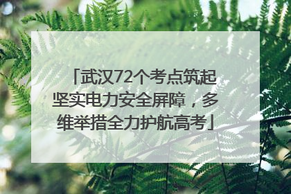 武汉72个考点筑起坚实电力安全屏障，多维举措全力护航高考