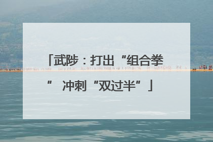 武陟：打出“组合拳” 冲刺“双过半”