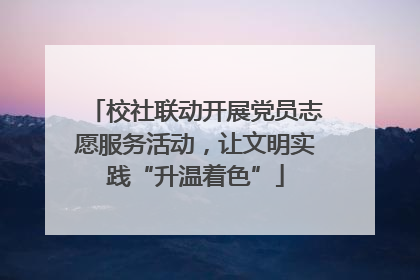 校社联动开展党员志愿服务活动，让文明实践“升温着色”