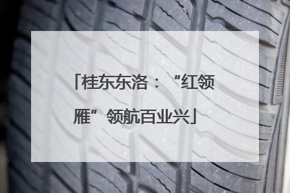 桂东东洛：“红领雁”领航百业兴