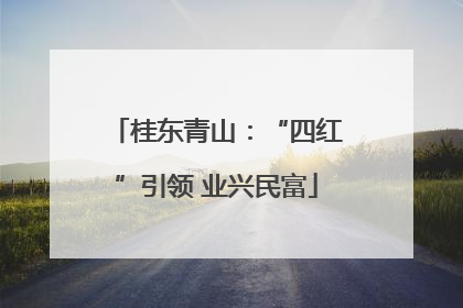 桂东青山：“四红”引领 业兴民富