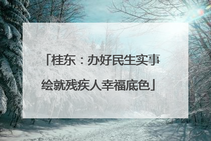 桂东：办好民生实事 绘就残疾人幸福底色