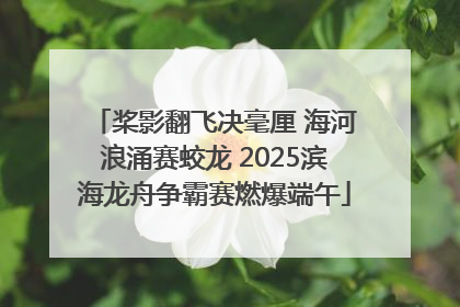 桨影翻飞决毫厘 海河浪涌赛蛟龙 2025滨海龙舟争霸赛燃爆端午