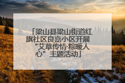 梁山县梁山街道红旗社区良嘉小区开展“艾草传情·粽暖人心”主题活动
