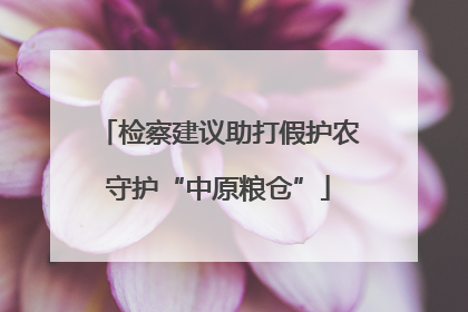 检察建议助打假护农守护“中原粮仓”