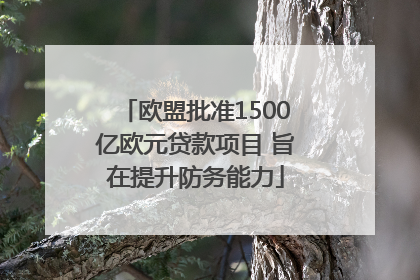 欧盟批准1500亿欧元贷款项目 旨在提升防务能力