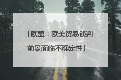 欧盟：欧美贸易谈判前景面临不确定性