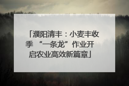 濮阳清丰：小麦丰收季 “一条龙”作业开启农业高效新篇章