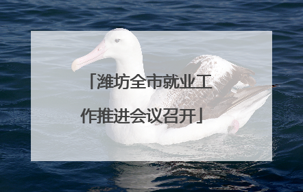 潍坊全市就业工作推进会议召开