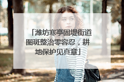 潍坊寒亭固堤街道图斑整治零容忍，耕地保护见真章
