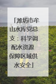 潍坊市牟山水库党总支：科学调配水资源 保障区域供水安全