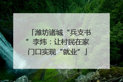 潍坊诸城“兵支书”李炜：让村民在家门口实现“就业”